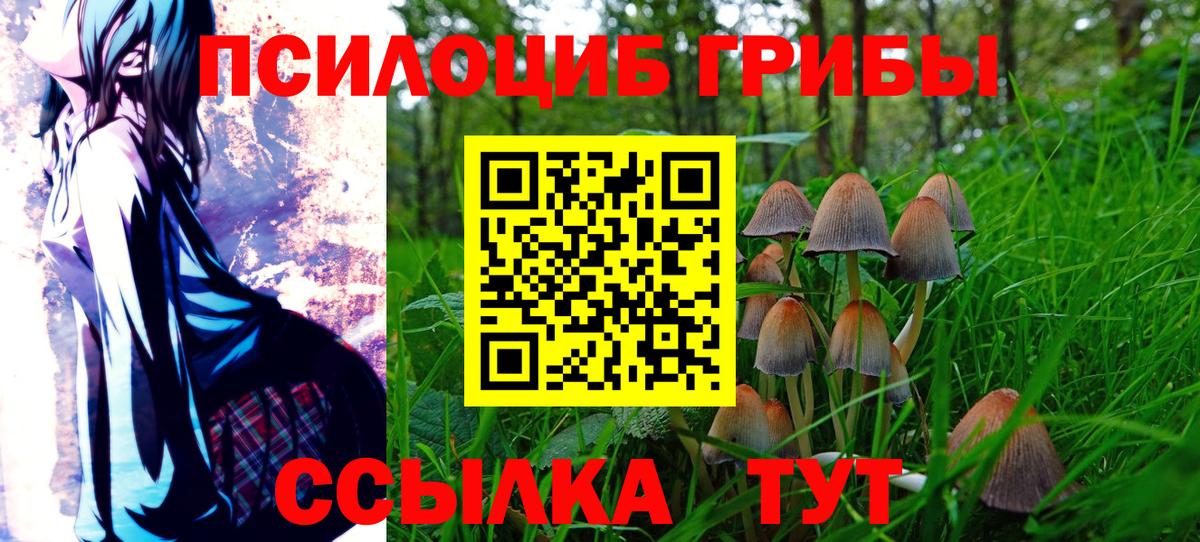 наркота  Псилоцибиновые грибы Magic Shrooms  Вход с VPN  Дубна  Псилоцибиновые грибы GOLDEN TEACHER 